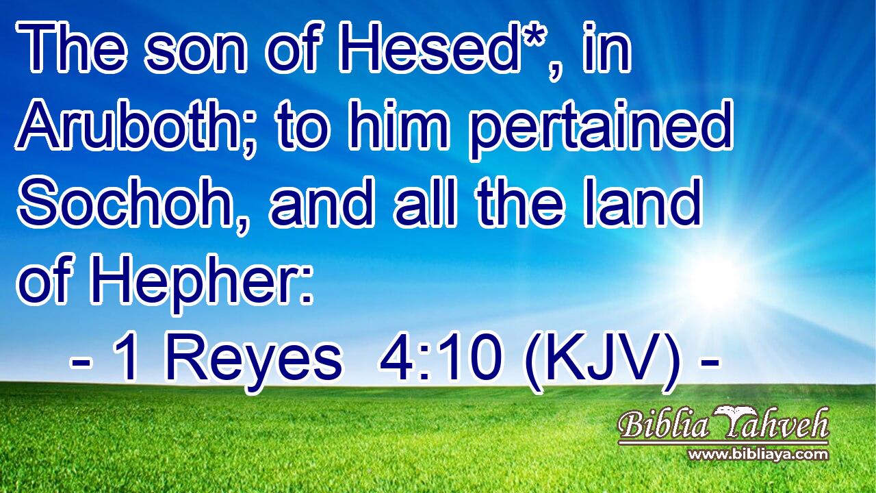The son of Hesed*, in Aruboth; to him pertained Sochoh, and all the land of Hepher: