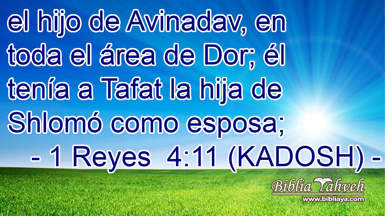  el hijo de Avinadav, en toda el área de Dor; él tenía a Tafat la hija de Shlomó como esposa; 