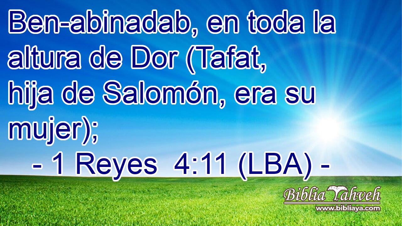 Ben-abinadab, en toda la altura de Dor (Tafat, hija de Salomón, era su mujer);