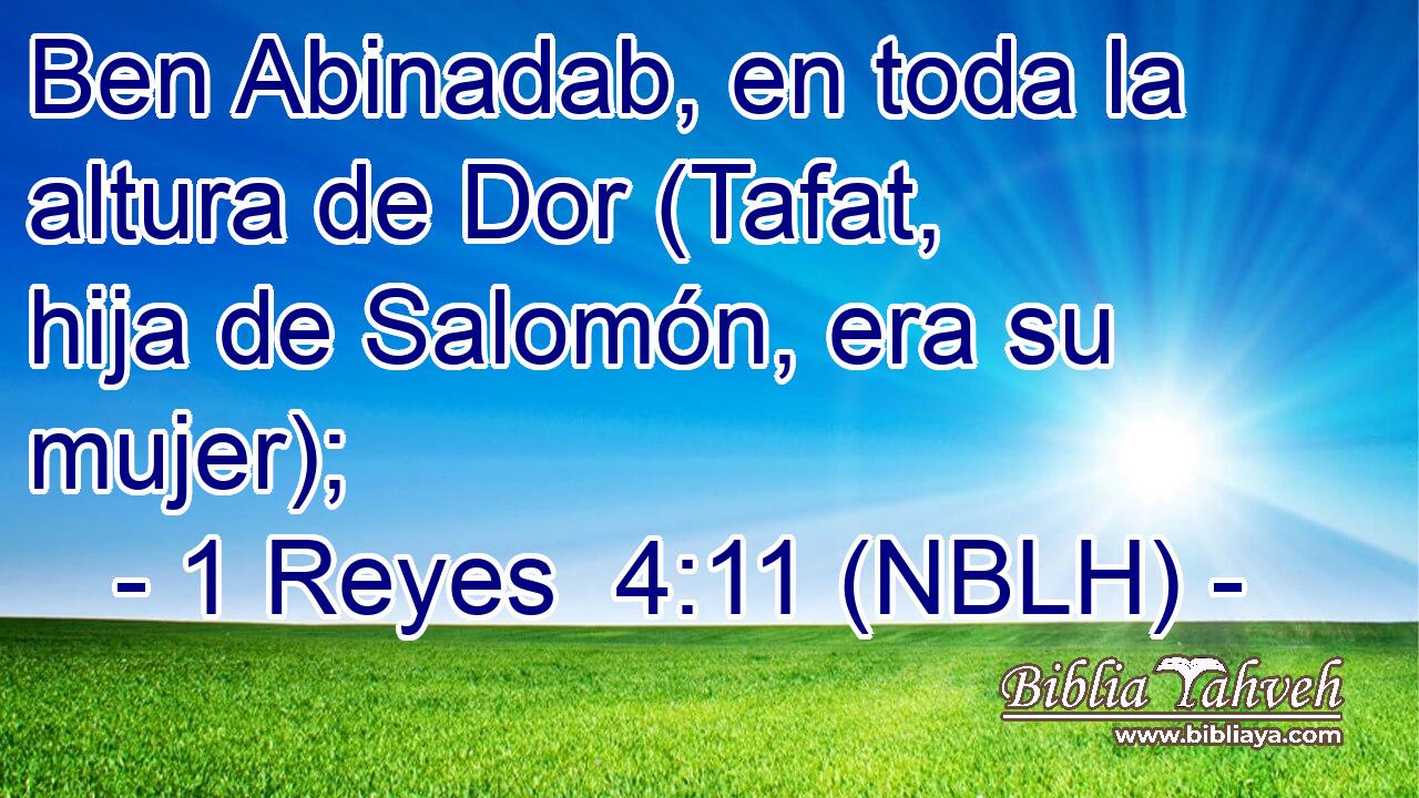  Ben Abinadab, en toda la altura de Dor (Tafat, hija de Salomón, era su mujer); 