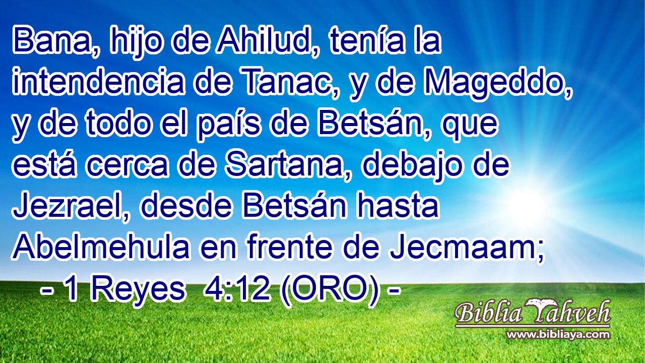  Bana, hijo de Ahilud, tenía la intendencia de Tanac, y de Mageddo, y de todo el país de Betsán, que está cerca de Sartana, debajo de Jezrael, desde Betsán hasta Abelmehula en frente de Jecmaam; 