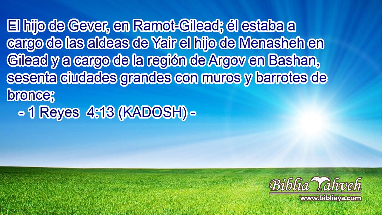  El hijo de Gever, en Ramot-Gilead; él estaba a cargo de las aldeas de Yair el hijo de Menasheh en Gilead y a cargo de la región de Argov en Bashan, sesenta ciudades grandes con muros y barrotes de bronce; 