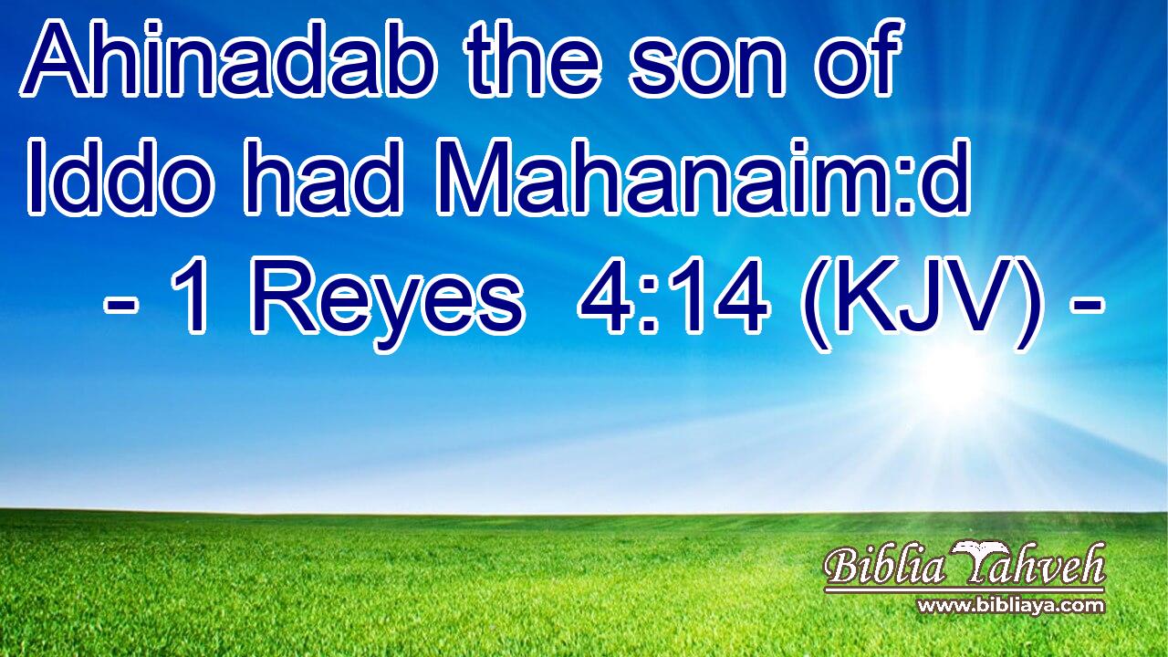 Ahinadab the son of Iddo had Mahanaim:d