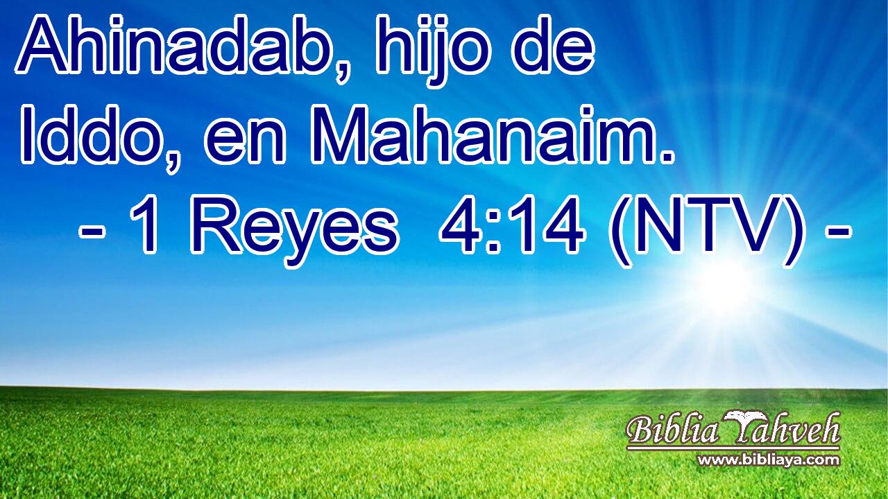 Ahinadab, hijo de Iddo, en Mahanaim.