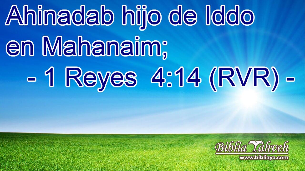 Ahinadab hijo de Iddo en Mahanaim;