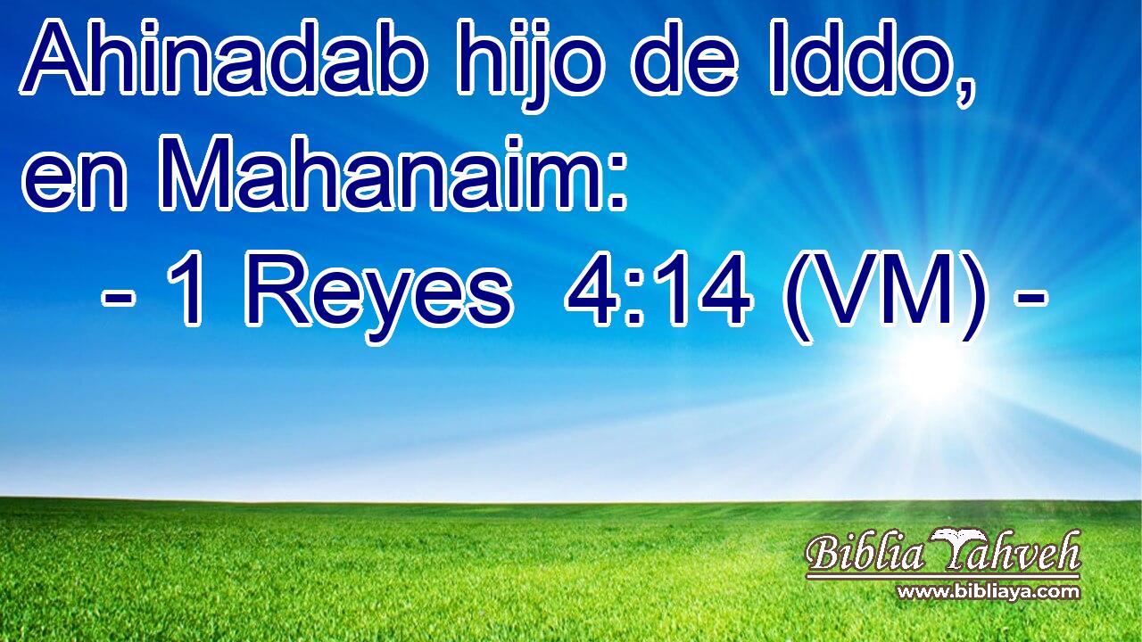  Ahinadab hijo de Iddo, en Mahanaim: 