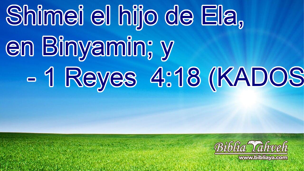  Shimei el hijo de Ela, en Binyamin; y 