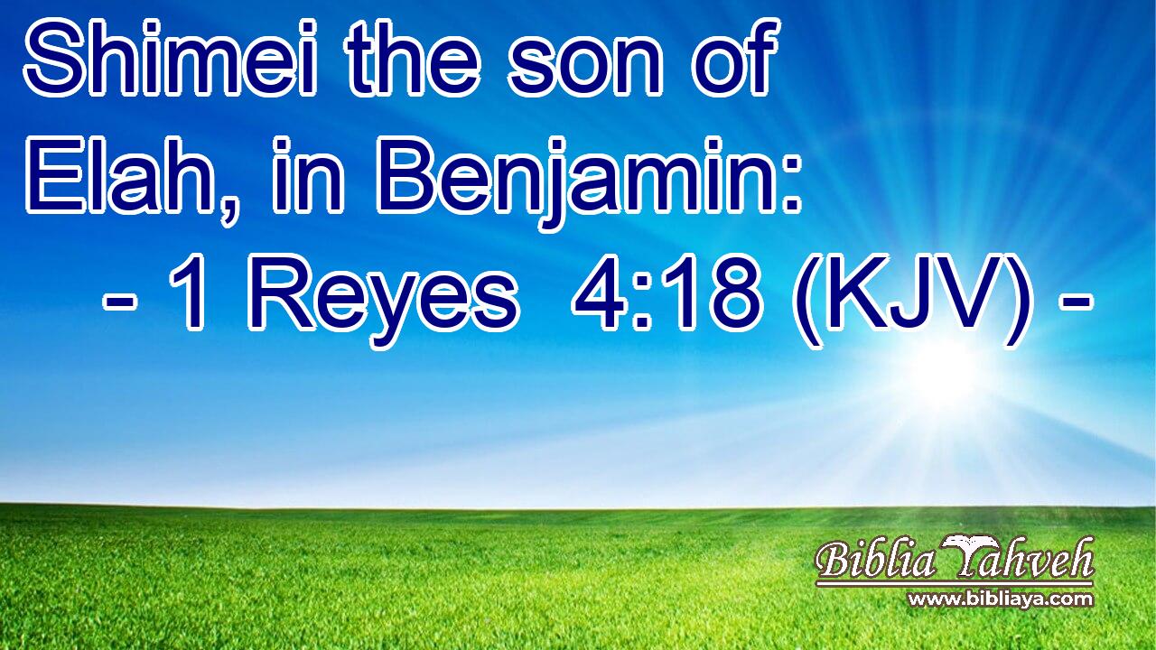 Shimei the son of Elah, in Benjamin: