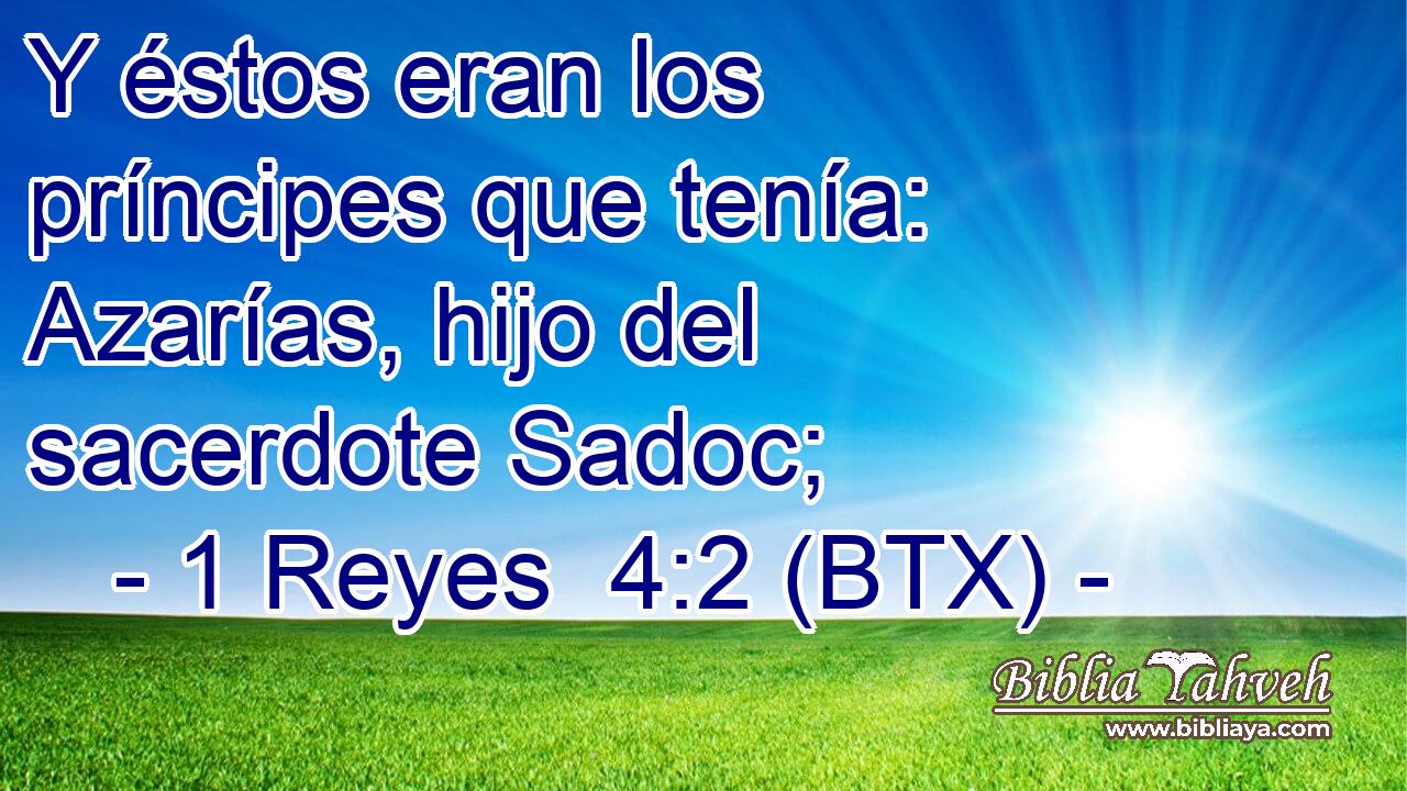 Y éstos eran los príncipes que tenía: Azarías, hijo del sacerdote Sadoc;