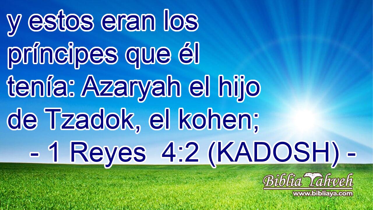  y estos eran los príncipes que él tenía: Azaryah el hijo de Tzadok, el kohen; 