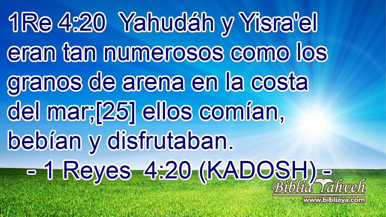  Yahudáh y Yisra'el eran tan numerosos como los granos de arena en la costa del mar;[25] ellos comían, bebían y disfrutaban. 
