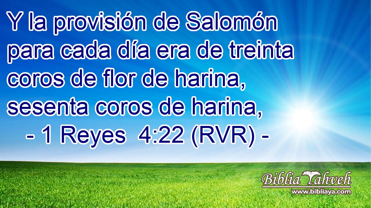 Y la provisión de Salomón para cada día era de treinta coros de flor de harina, sesenta coros de harina,