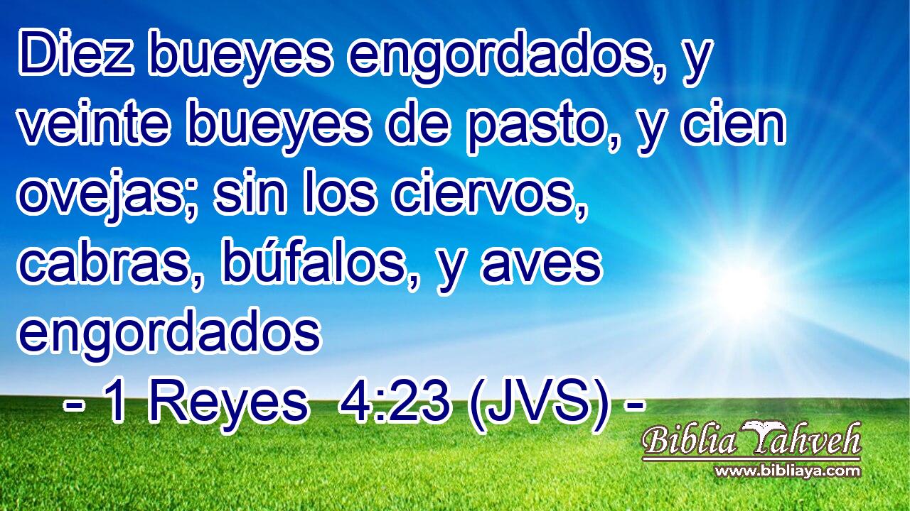 Diez bueyes engordados, y veinte bueyes de pasto, y cien ovejas; sin los ciervos, cabras, búfalos, y aves engordados