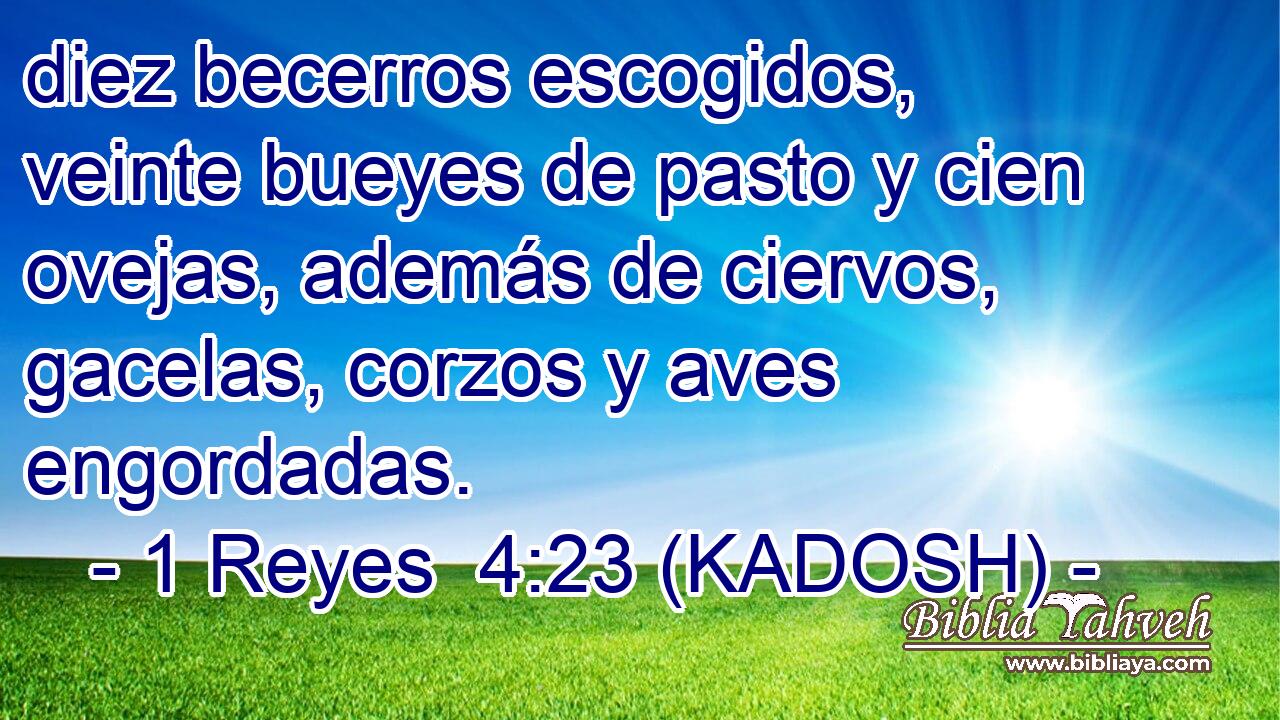  diez becerros escogidos, veinte bueyes de pasto y cien ovejas, además de ciervos, gacelas, corzos y aves engordadas. 