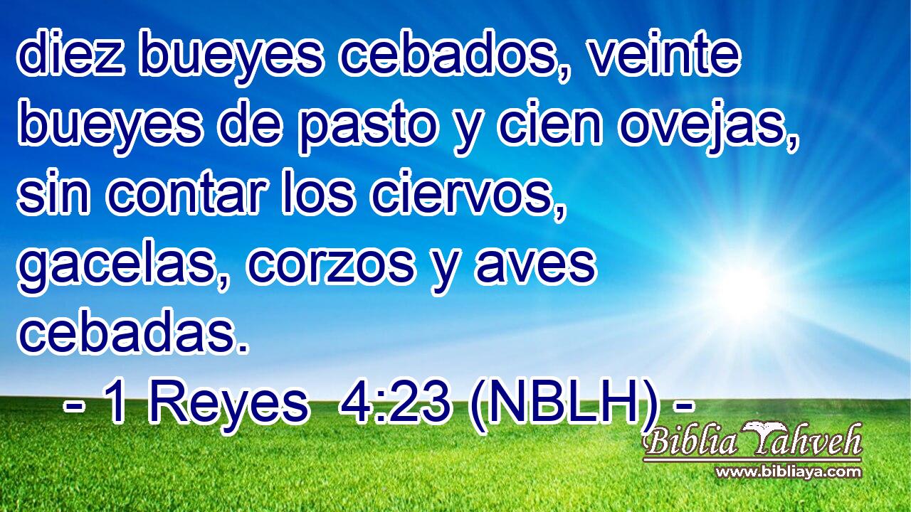  diez bueyes cebados, veinte bueyes de pasto y cien ovejas, sin contar los ciervos, gacelas, corzos y aves cebadas. 