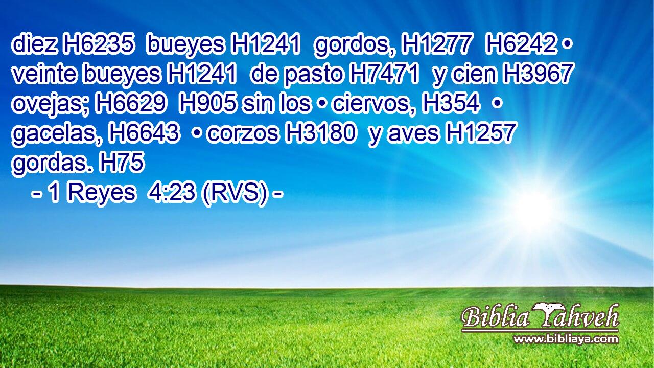 diez H6235  bueyes H1241  gordos, H1277  H6242 • veinte bueyes H1241  de pasto H7471  y cien H3967  ovejas; H6629  H905 sin los • ciervos, H354  • gacelas, H6643  • corzos H3180  y aves H1257  gordas. H75  