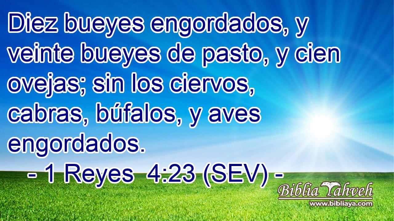 Diez bueyes engordados, y veinte bueyes de pasto, y cien ovejas; sin los ciervos, cabras, búfalos, y aves engordados.
