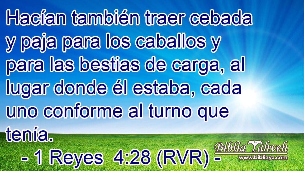 Hacían también traer cebada y paja para los caballos y para las bestias de carga, al lugar donde él estaba, cada uno conforme al turno que tenía.