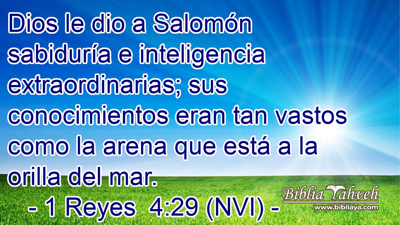  Dios le dio a Salomón sabiduría e inteligencia extraordinarias; sus conocimientos eran tan vastos como la arena que está a la orilla del mar. 