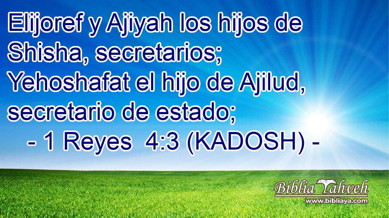  Elijoref y Ajiyah los hijos de Shisha, secretarios; Yehoshafat el hijo de Ajilud, secretario de estado; 