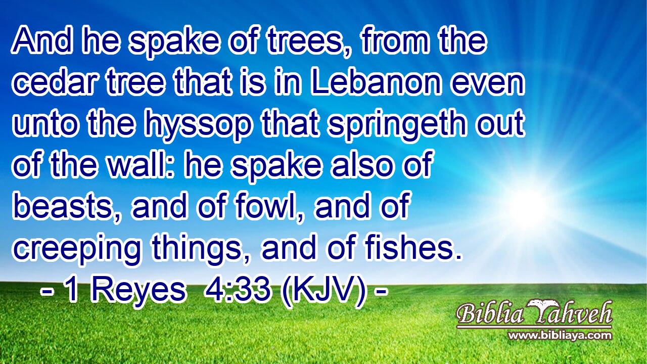 And he spake of trees, from the cedar tree that is in Lebanon even unto the hyssop that springeth out of the wall: he spake also of beasts, and of fowl, and of creeping things, and of fishes.