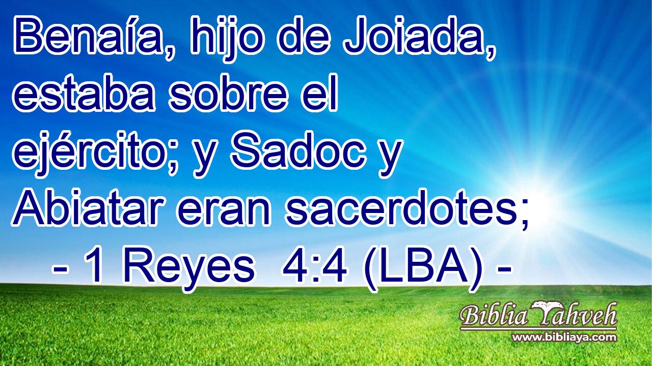 Benaía, hijo de Joiada, estaba sobre el ejército; y Sadoc y Abiatar eran sacerdotes;