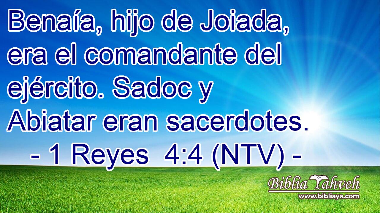 Benaía, hijo de Joiada, era el comandante del ejército. Sadoc y Abiatar eran sacerdotes.