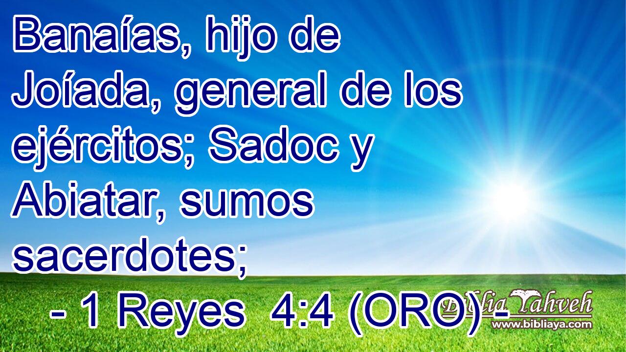  Banaías, hijo de Joíada, general de los ejércitos; Sadoc y Abiatar, sumos sacerdotes; 
