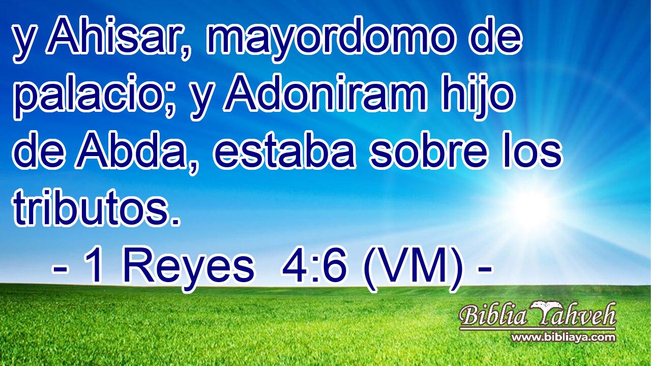  y Ahisar, mayordomo de palacio; y Adoniram hijo de Abda, estaba sobre los tributos. 