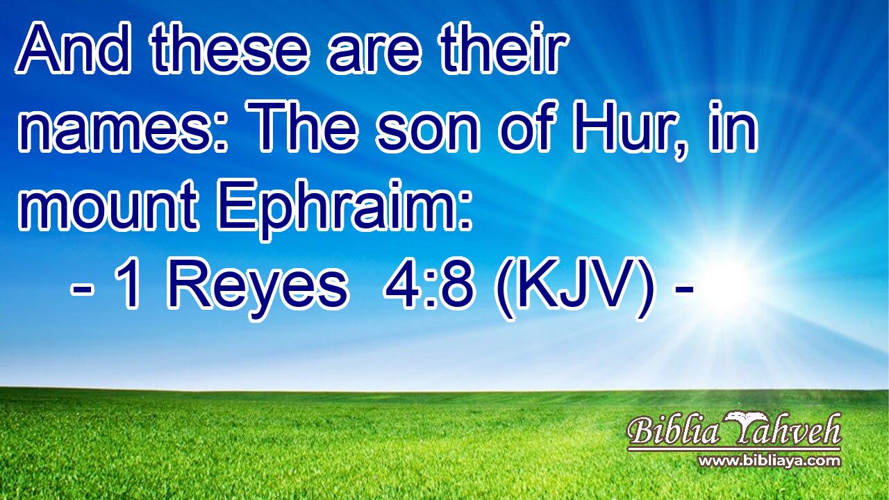 And these are their names: The son of Hur, in mount Ephraim: