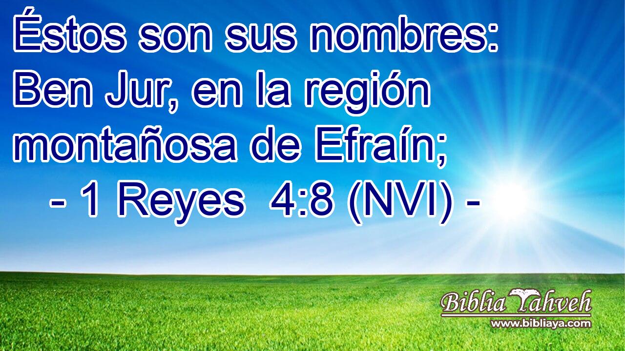  Éstos son sus nombres: Ben Jur, en la región montañosa de Efraín; 