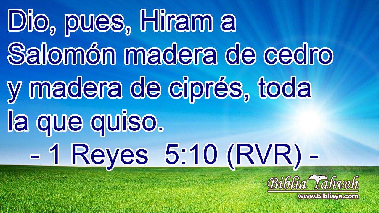 Dio, pues, Hiram a Salomón madera de cedro y madera de ciprés, toda la que quiso.