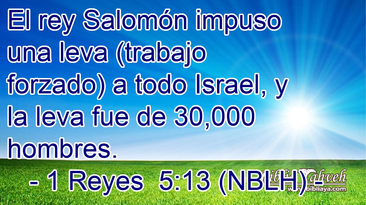  El rey Salomón impuso una leva (trabajo forzado) a todo Israel, y la leva fue de 30,000 hombres. 