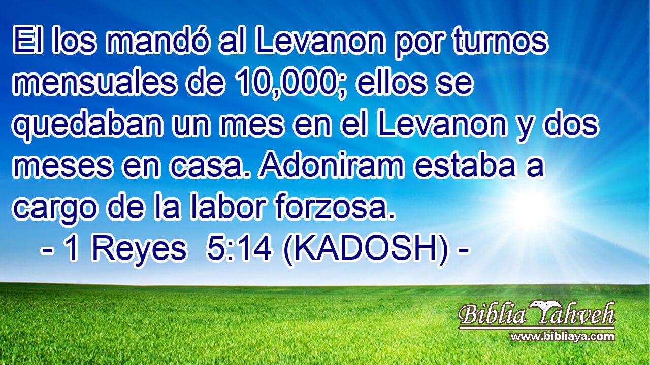  El los mandó al Levanon por turnos mensuales de 10,000; ellos se quedaban un mes en el Levanon y dos meses en casa. Adoniram estaba a cargo de la labor forzosa. 