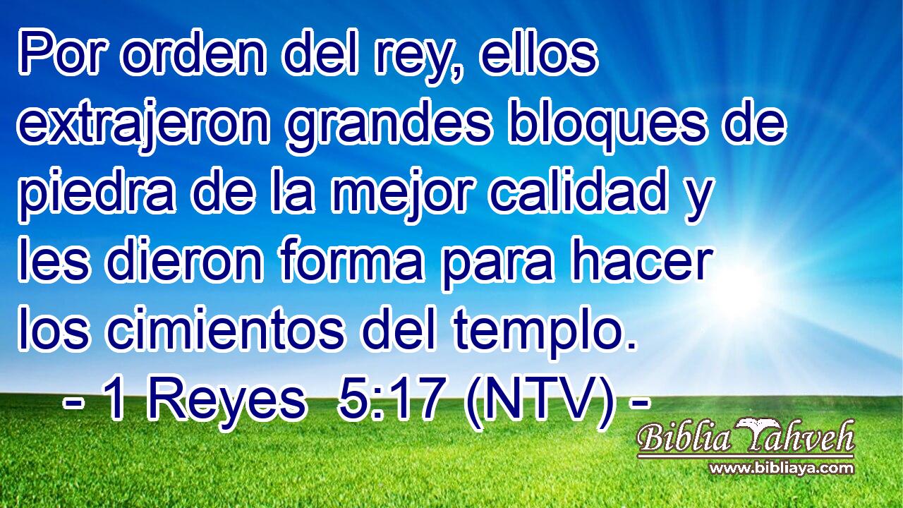 Por orden del rey, ellos extrajeron grandes bloques de piedra de la mejor calidad y les dieron forma para hacer los cimientos del templo.