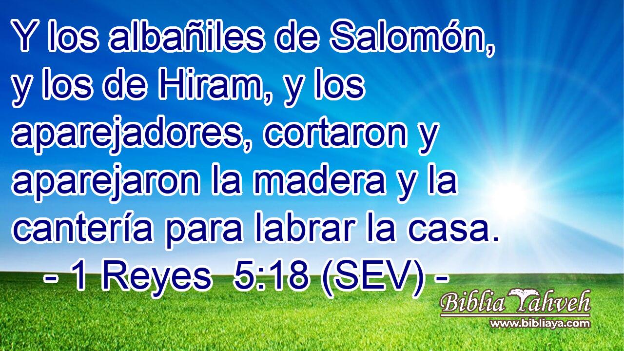 Y los albañiles de Salomón, y los de Hiram, y los aparejadores, cortaron y aparejaron la madera y la cantería para labrar la casa.