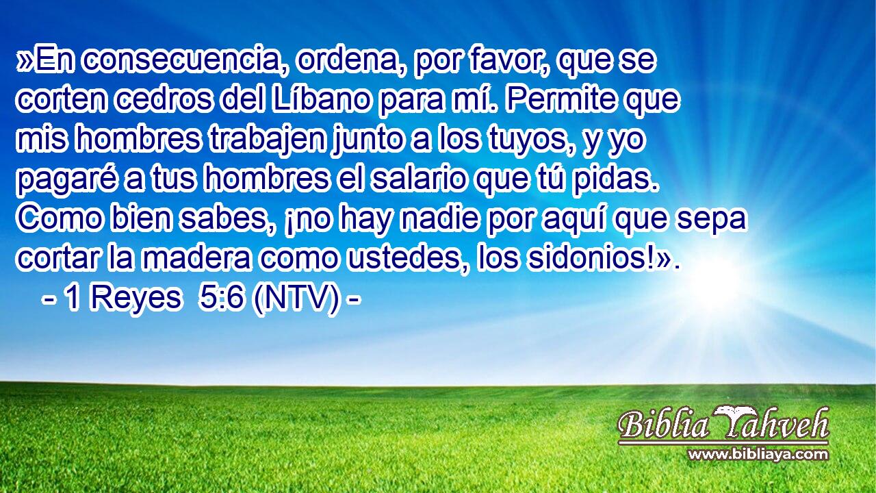 »En consecuencia, ordena, por favor, que se corten cedros del Líbano para mí. Permite que mis hombres trabajen junto a los tuyos, y yo pagaré a tus hombres el salario que tú pidas. Como bien sabes, ¡no hay nadie por aquí que sepa cortar la madera como ustedes, los sidonios!».