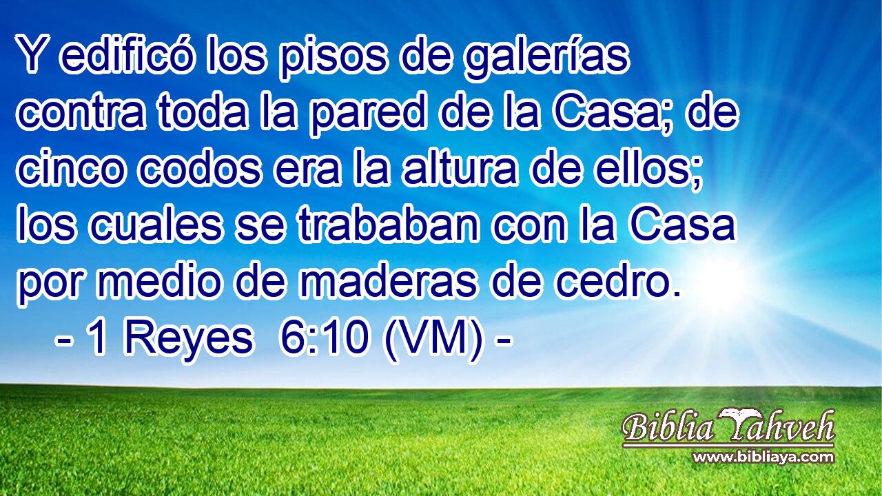  Y edificó los pisos de galerías contra toda la pared de la Casa; de cinco codos era la altura de ellos; los cuales se trababan con la Casa por medio de maderas de cedro. 