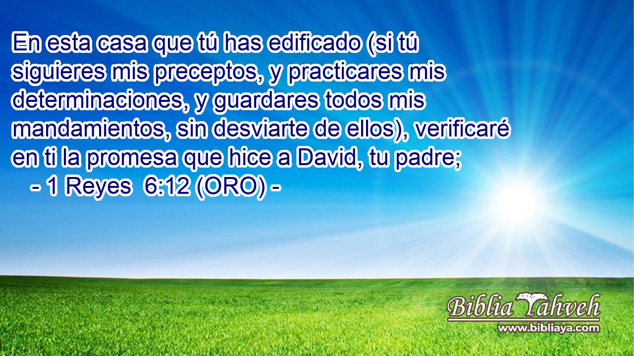  En esta casa que tú has edificado (si tú siguieres mis preceptos, y practicares mis determinaciones, y guardares todos mis mandamientos, sin desviarte de ellos), verificaré en ti la promesa que hice a David, tu padre; 