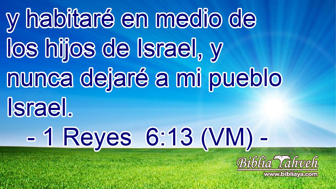  y habitaré en medio de los hijos de Israel, y nunca dejaré a mi pueblo Israel. 