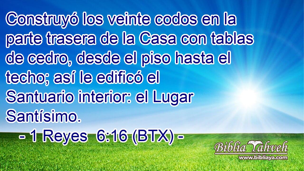 Construyó los veinte codos en la parte trasera de la Casa con tablas de cedro, desde el piso hasta el techo; así le edificó el Santuario interior: el Lugar Santísimo.