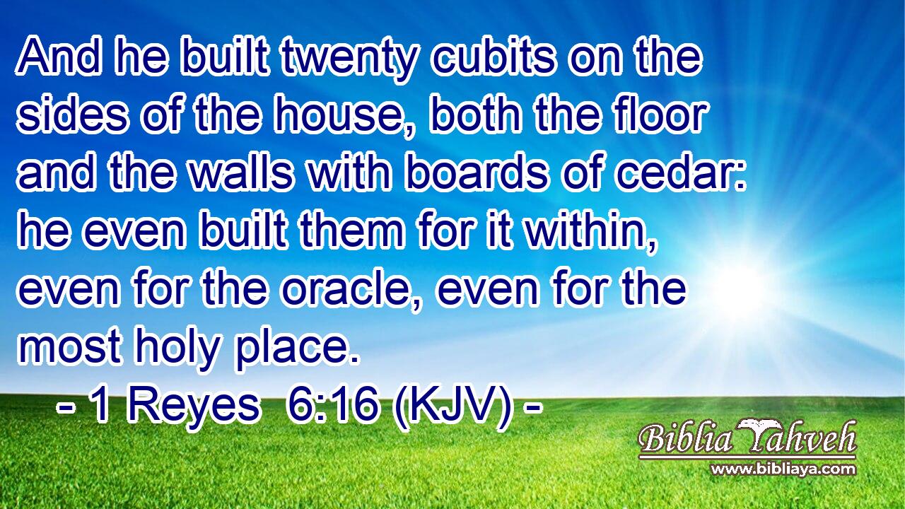 And he built twenty cubits on the sides of the house, both the floor and the walls with boards of cedar: he even built them for it within, even for the oracle, even for the most holy place.