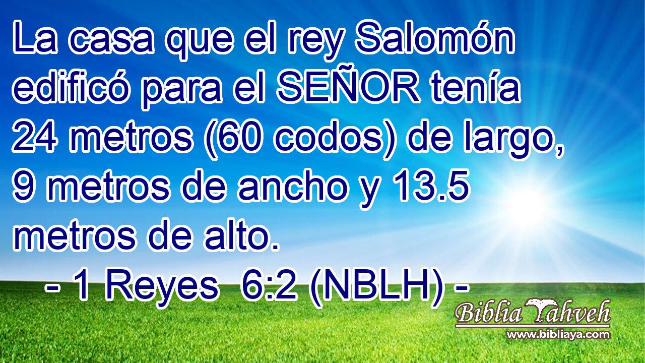  La casa que el rey Salomón edificó para el SEÑOR tenía 24 metros (60 codos) de largo, 9 metros de ancho y 13.5 metros de alto. 