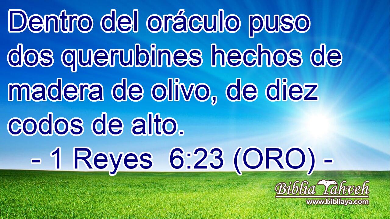  Dentro del oráculo puso dos querubines hechos de madera de olivo, de diez codos de alto. 