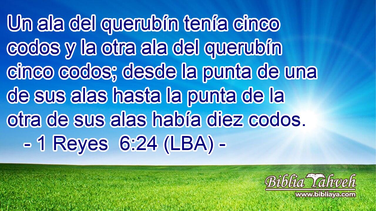 Un ala del querubín tenía cinco codos y la otra ala del querubín cinco codos; desde la punta de una de sus alas hasta la punta de la otra de sus alas había diez codos.