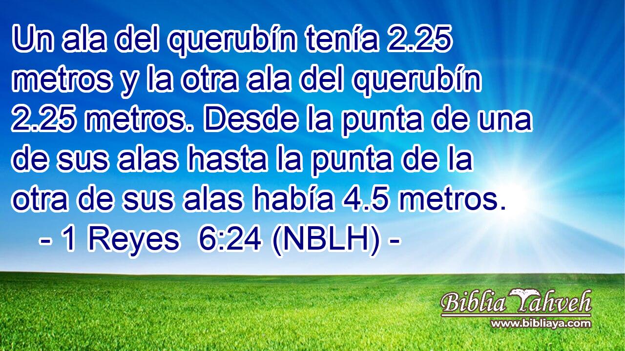  Un ala del querubín tenía 2.25 metros y la otra ala del querubín 2.25 metros. Desde la punta de una de sus alas hasta la punta de la otra de sus alas había 4.5 metros. 