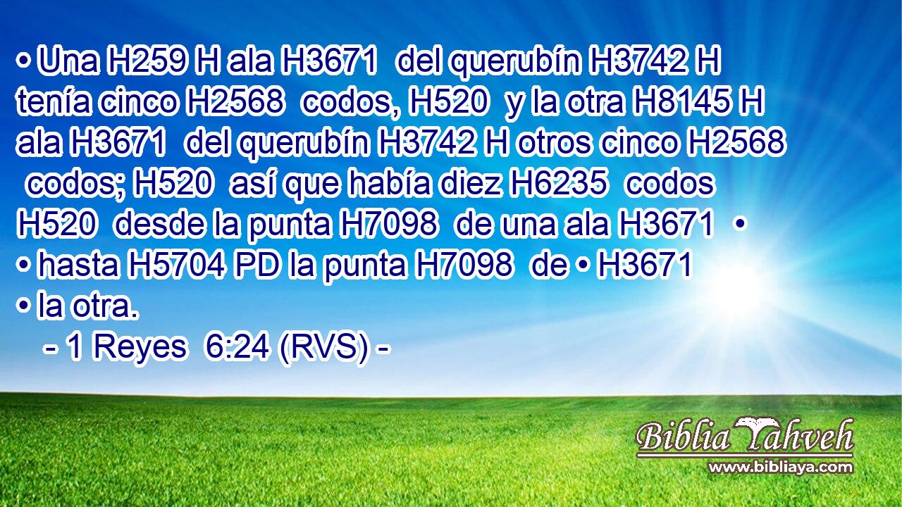• Una H259 H ala H3671  del querubín H3742 H tenía cinco H2568  codos, H520  y la otra H8145 H ala H3671  del querubín H3742 H otros cinco H2568  codos; H520  así que había diez H6235  codos H520  desde la punta H7098  de una ala H3671  • • hasta H5704 PD la punta H7098  de • H3671  • la otra. 