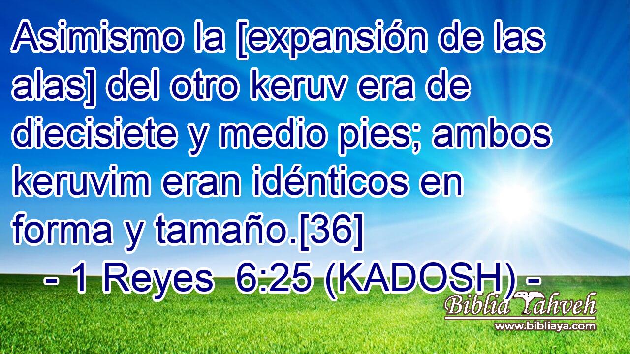  Asimismo la [expansión de las alas] del otro keruv era de diecisiete y medio pies; ambos keruvim eran idénticos en forma y tamaño.[36] 