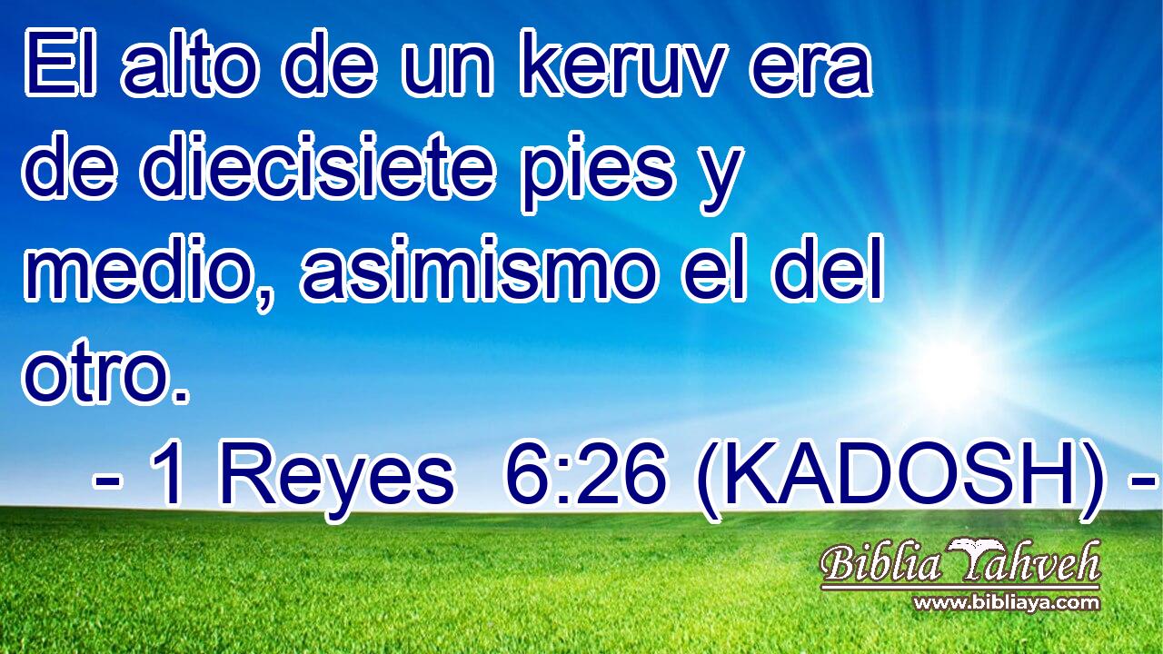  El alto de un keruv era de diecisiete pies y medio, asimismo el del otro. 