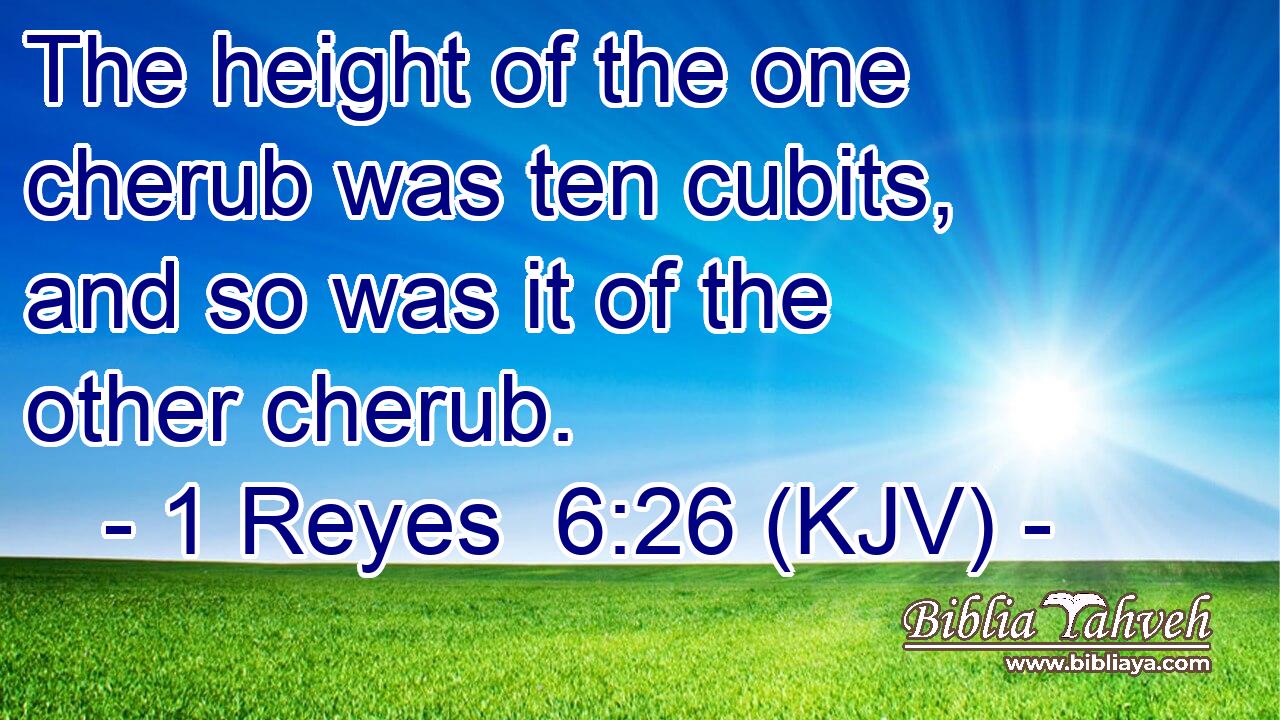 The height of the one cherub was ten cubits, and so was it of the other cherub.